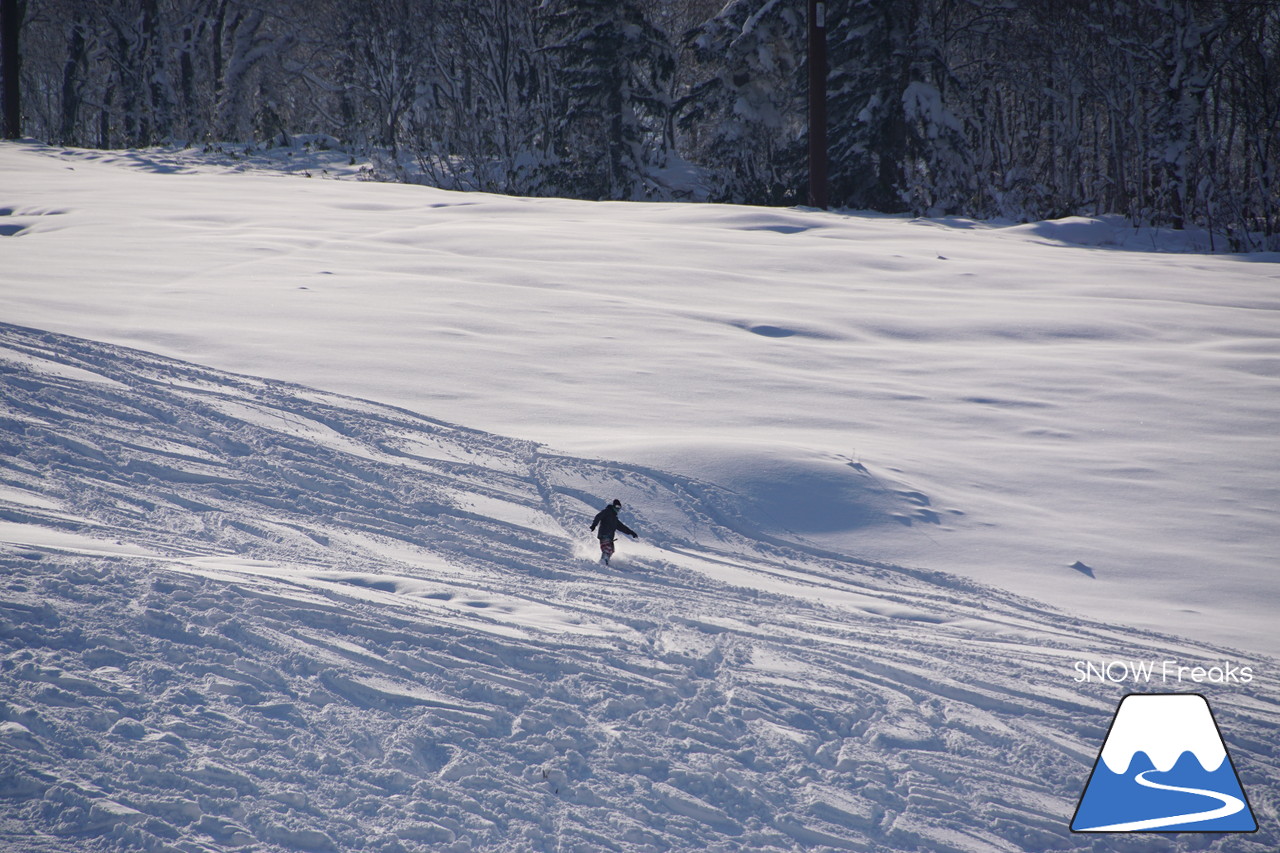 春スキーの聖地『中山峠スキー場』は、初滑りシーズンも凄かった…!!初滑りから粉雪たっぷりの2018年11月☆